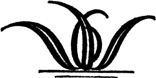 Fleuron Seite (v)