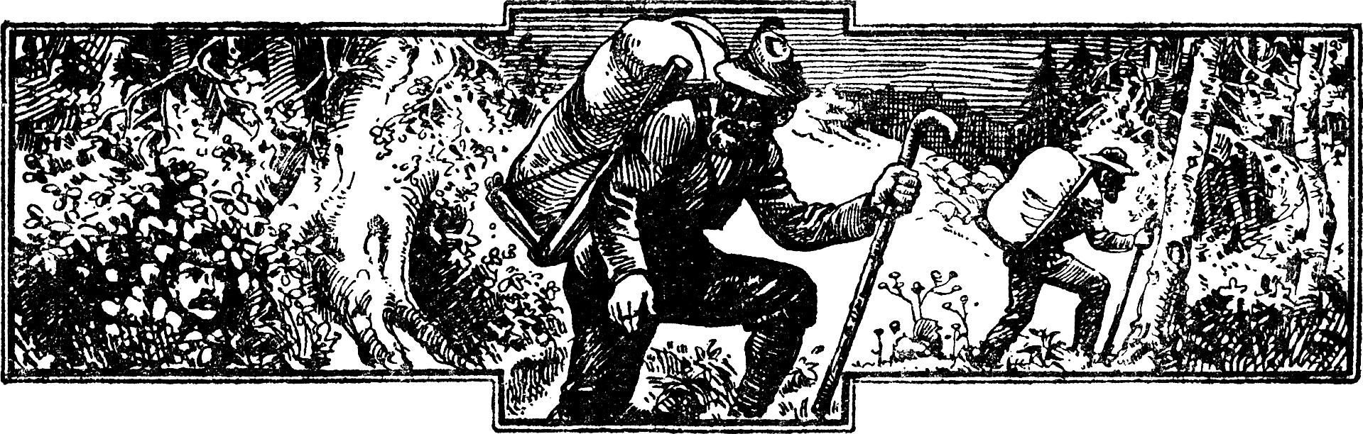 Bildvignette Seite (281)